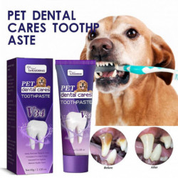 Preventing Bad Breath Mouth Problem Essential Pet Dental Toothpaste Essential