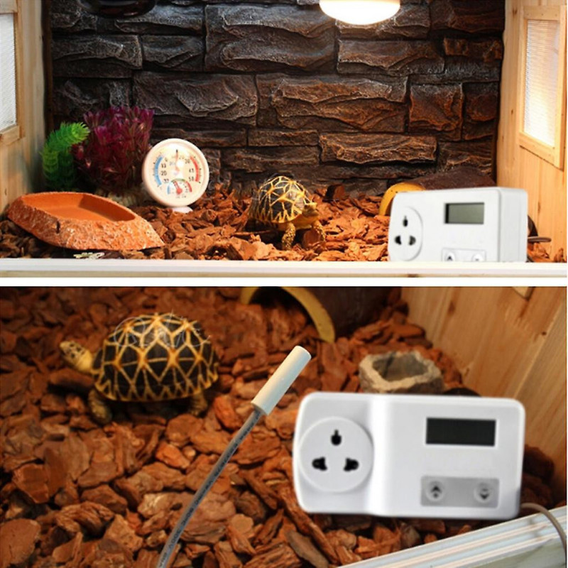 Reptile Digital Thermostat Ornamental Goldfish Fish Aquarium Attachment