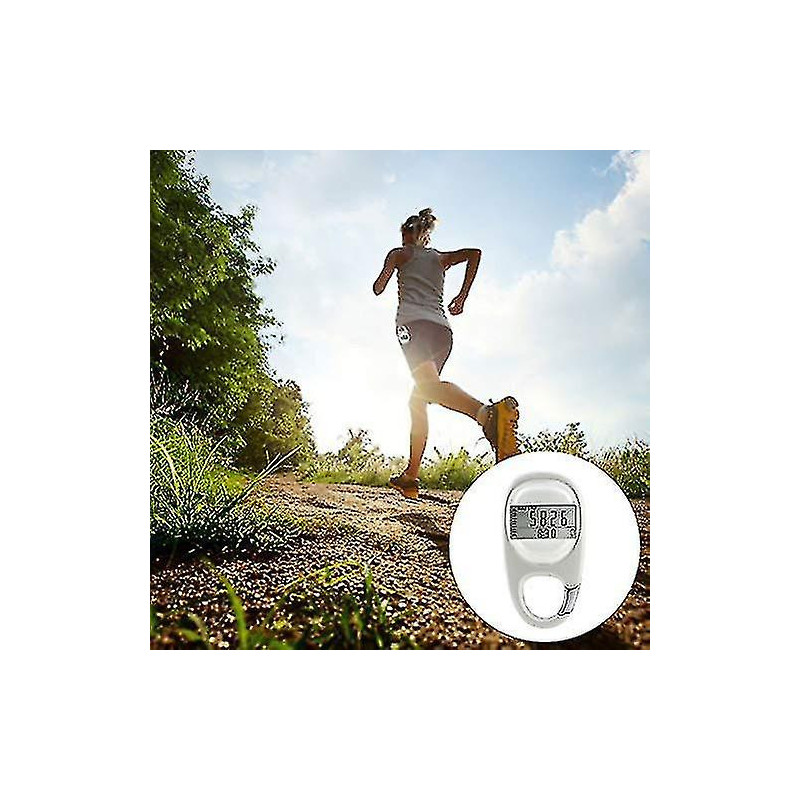 3d Digital Pedometer Simple 3d Digital Pedometer Portable Walking Step Counter With Carabiner Clip