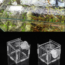 Fish Breeding Box Aquarium Small Incubator With Suction Cup For Newborn Shrimp