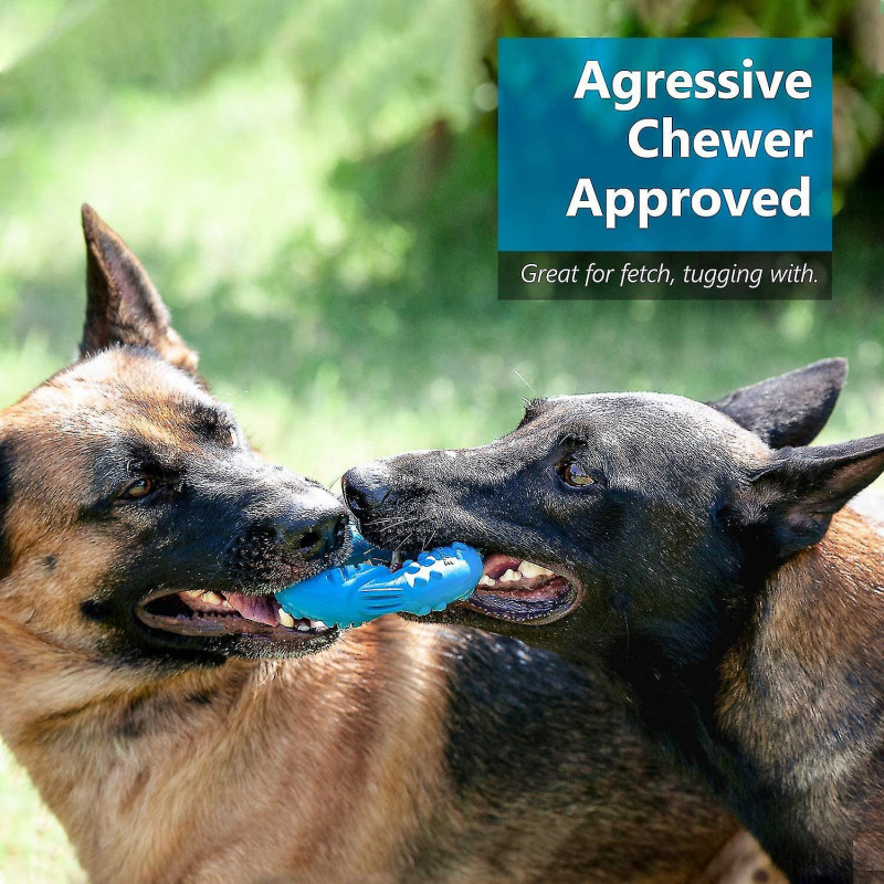Jouet Macher Pour Chiens Agressifs En Caoutchouc Naturel Ultra Rsista