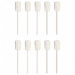 10 Pcs Oral Cleaner Oral Cleaning Stick Newborn Toothbrush Toothbrushes Oral Care