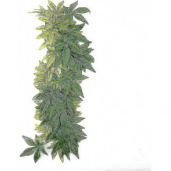 Fake Leaves Plastic Green Grass With Suction Cup For Aquarium Reptile Terrarium Habit Box (50 Cm/19.69 Inches)