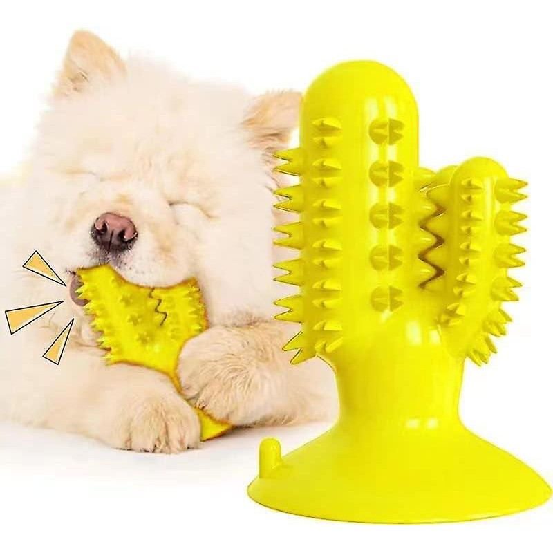 Dog Chew Toys For Intense Chewing Pet Toothbrush Stick For Teeth Oral Cleaning Cactus Shape Teeth Cleaning Toy For [...]