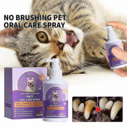 50ml Pet Oral Cleanse Spray Chiens Chats Bouche Dents fraîches Déodorant Propre Prévenir le calcul Enlever Chaton [...]
