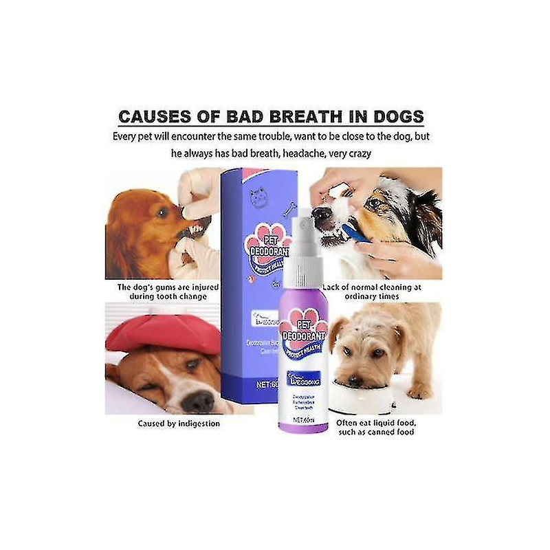3pcs Dog Spray Oral Care Bad Breath Teeth Cleaning Breath Freshener Plaque Removing