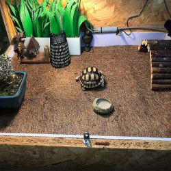 Reptile Carpet Bedding Set For Terrarium Lining Reptile Lizard Snake Cko