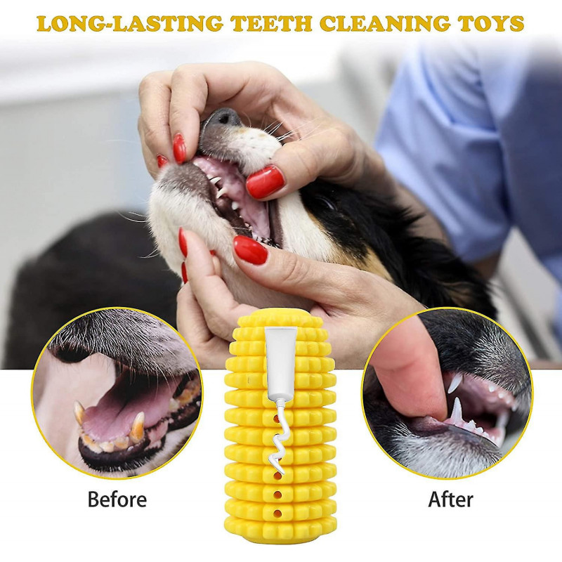 Jouet à mâcher pour chien, jouet à mâcher pour chien brosse à dents nettoyage des dents avec corde pour grands [...]