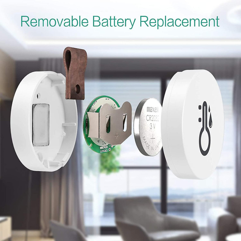 Mini electronic temperature and humidity meter