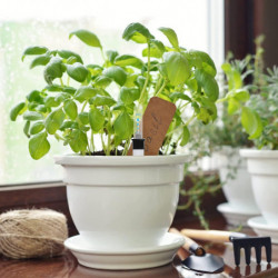 4 Pieces Level Indicator Flower Pot Level Gauge Reminder Shortage Humidity Meter Sensor Monitor Probe for Garden