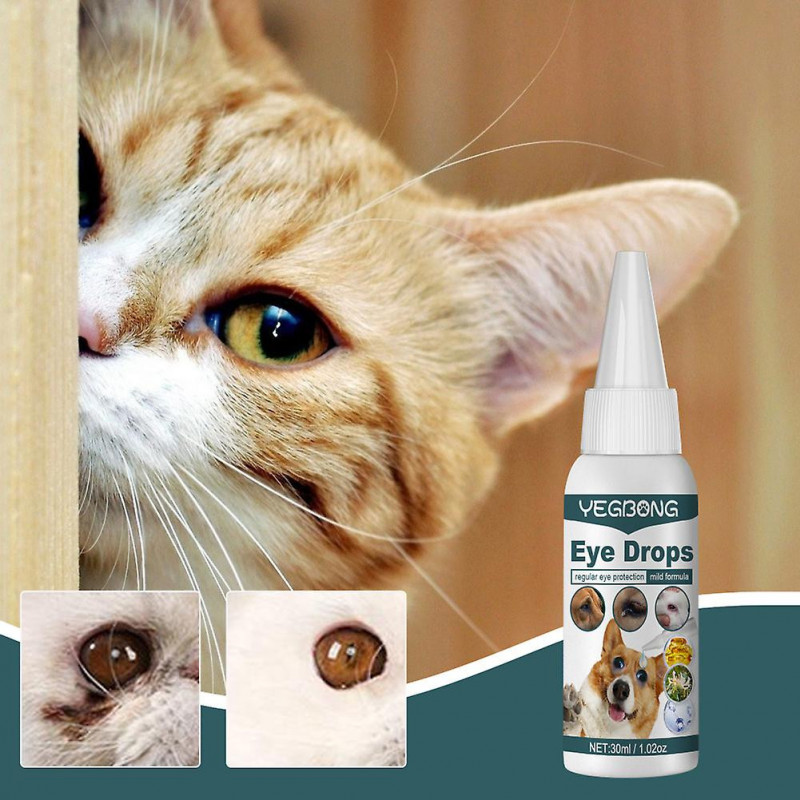 Gouttes pour animaux de compagnie pour chats, chiens, maison, chien, douche oculaire, tache, tache, santé [...]