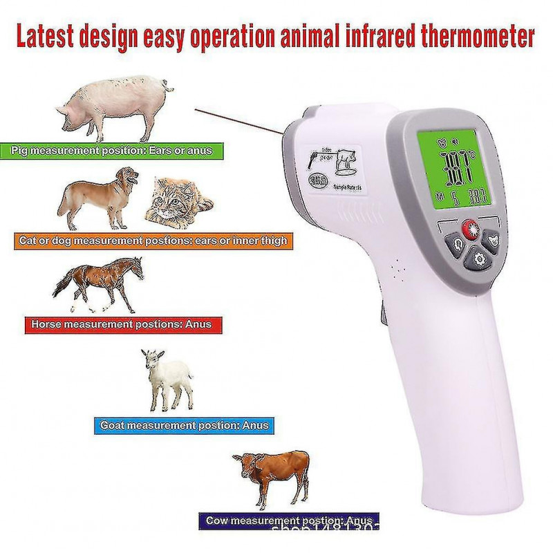 Thermomètre pour animaux de compagnie, animal de compagnie chat chien bovins mouton porc lapin thermomètre [...]