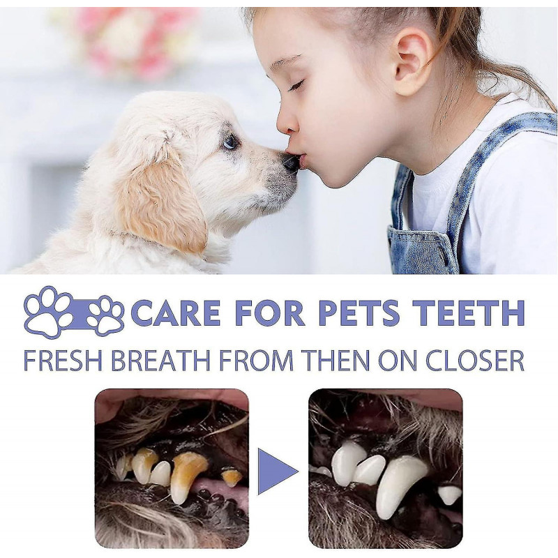 1pc Oral Spray, Teeth Cleaning Spray For Dogs & Cats, Pets Dental Care Bad Breath Treatment, Pet Breath Freshener [...]