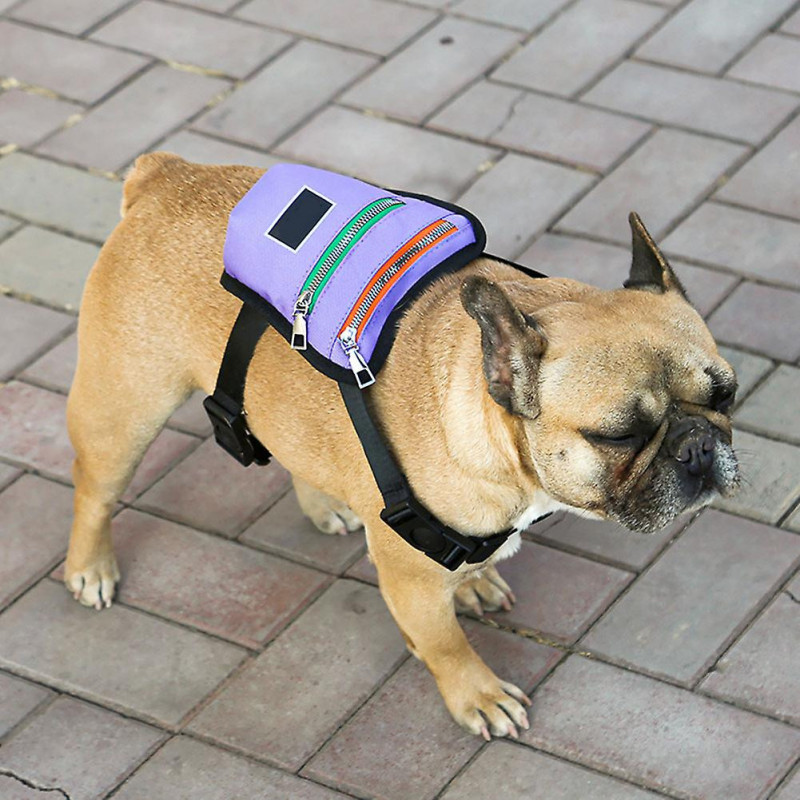 For Going Out Daily Mini Cute Breathable Fashion Dog Cat Walking Pet Backpack