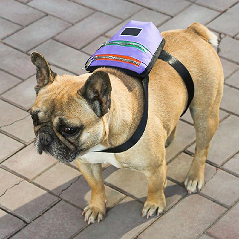 For Going Out Daily Mini Cute Breathable Fashion Dog Cat Walking Pet Backpack