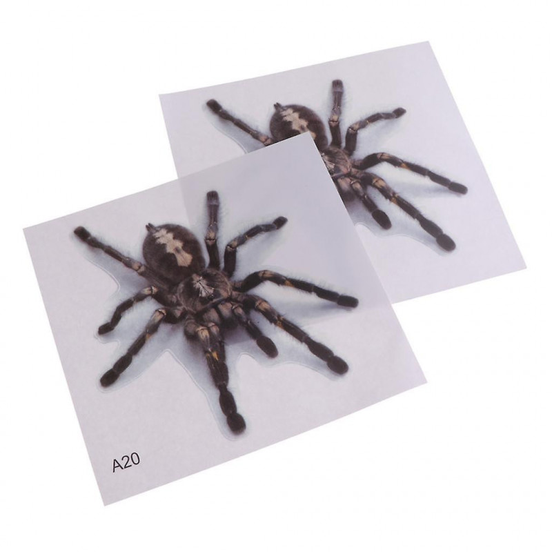 2 Pcs Pvc Transparent Frosted Reptile Sticker Aquarium Wall Backdrop Type 3