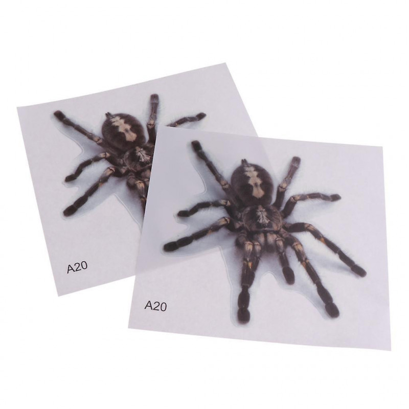 2 Pcs Pvc Transparent Frosted Reptile Sticker Aquarium Wall Backdrop Type 3