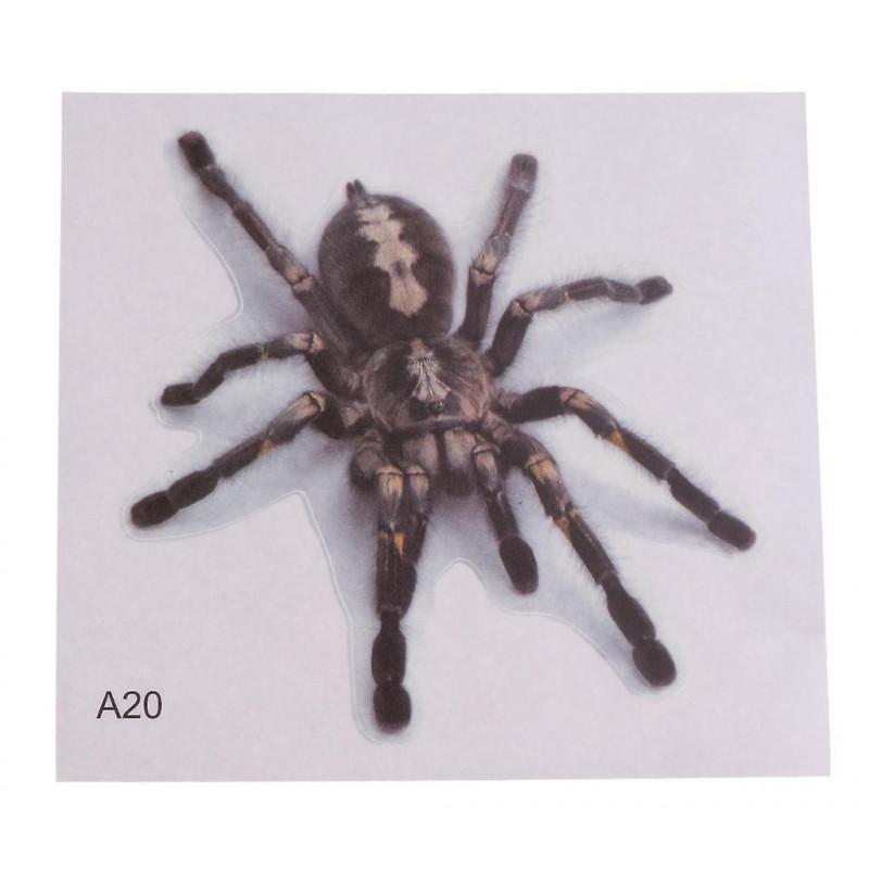 2 Pcs Pvc Transparent Frosted Reptile Sticker Aquarium Wall Backdrop Type 3