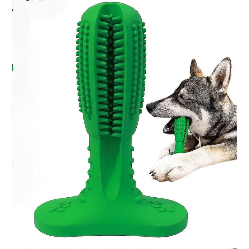 Brosse à dents pour chien Jouet pour le nettoyage des dents de chien, Bâton de brosse à dents pour chien pour les dents