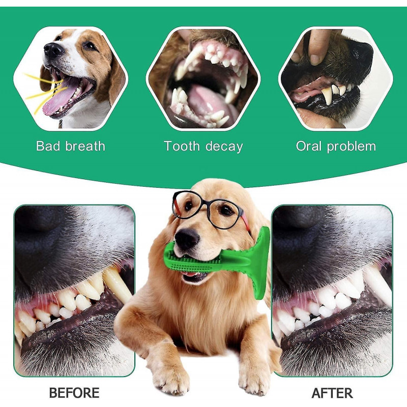Brosse à dents pour chien Jouet pour le nettoyage des dents de chien, Bâton de brosse à dents pour chien pour les dents