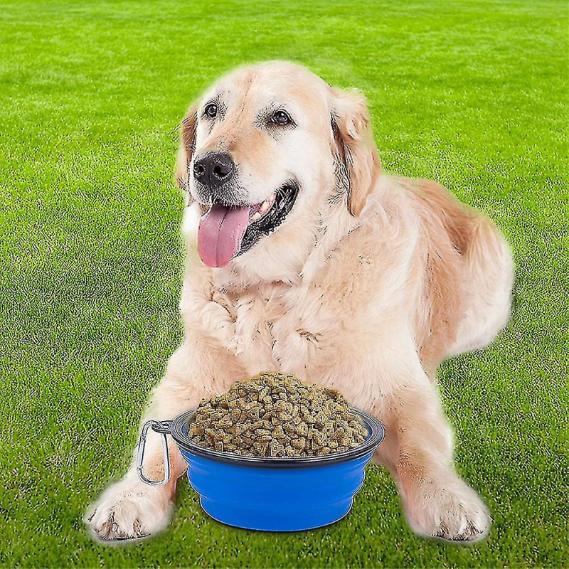 Bol de chien pliable, 2 Pcs Travel Dog Bowls pour chats et chiens