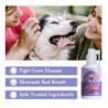 Pet Cleaning Dog Teeth Cleaning Spray To Eliminated Bad Breath, No Need To Brush Teeth For Tartar And Plaque 50ML