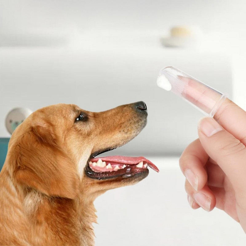 Dogs Toothbrushs Dogs Oral Care Dogs Toothpaste And Toothbrushs Dogs Teeth Cleaning Pet Toothbrushs Cats Toothpaste