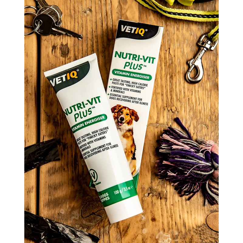 Mark & Chappell VetIQ Nutri-Vit Plus Pâte pour chiens 100g Dog Vitamin Energiser