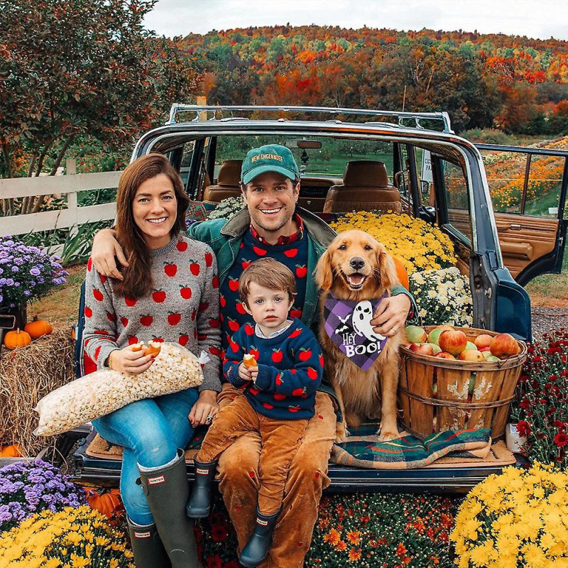 Funny Halloween Cotton Plaid Pet Dog Triangle Scarf - Halloween Fluorescence Pet Dog Cat Gifts