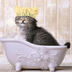 Chapeau de bain imperméable à l’eau de protection d’oreille de douche pour animaux de compagnie pour chats et [...]