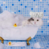 Chapeau de bain imperméable à l’eau de protection d’oreille de douche pour animaux de compagnie pour chats et [...]