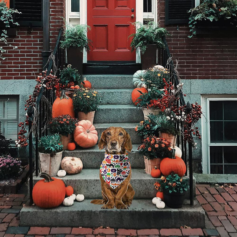 Funny Halloween Cotton Plaid Pet Dog Triangle Scarf - Halloween Fluorescence Pet Dog Cat Gifts