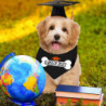 2pcs Pet Graduation Caps With Scarf Small Dog Graduation Hats With Yellow Tassel Pet Grad Costume For Dogs Cats [...]