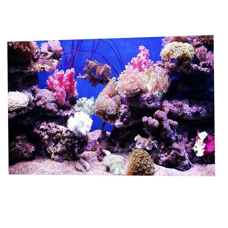 Aquarium Sticker