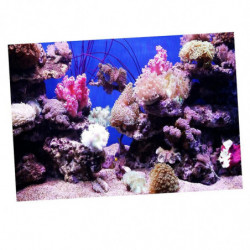 Aquarium Sticker