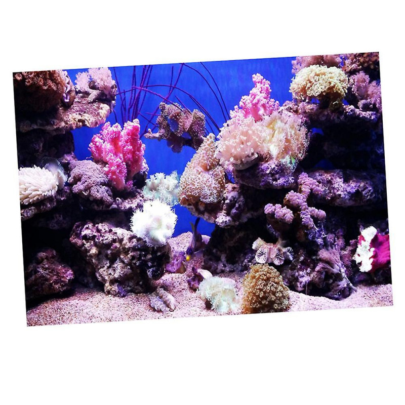 Aquarium Sticker