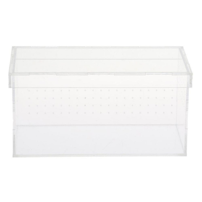 Terrarium de tortues pour reptiles tortues