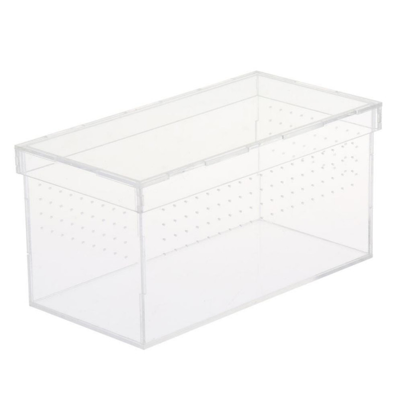 Terrarium de tortues pour reptiles tortues