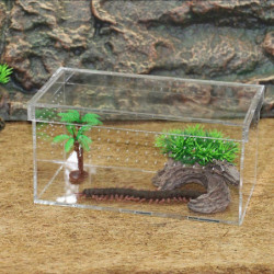 Terrarium de tortues pour reptiles tortues