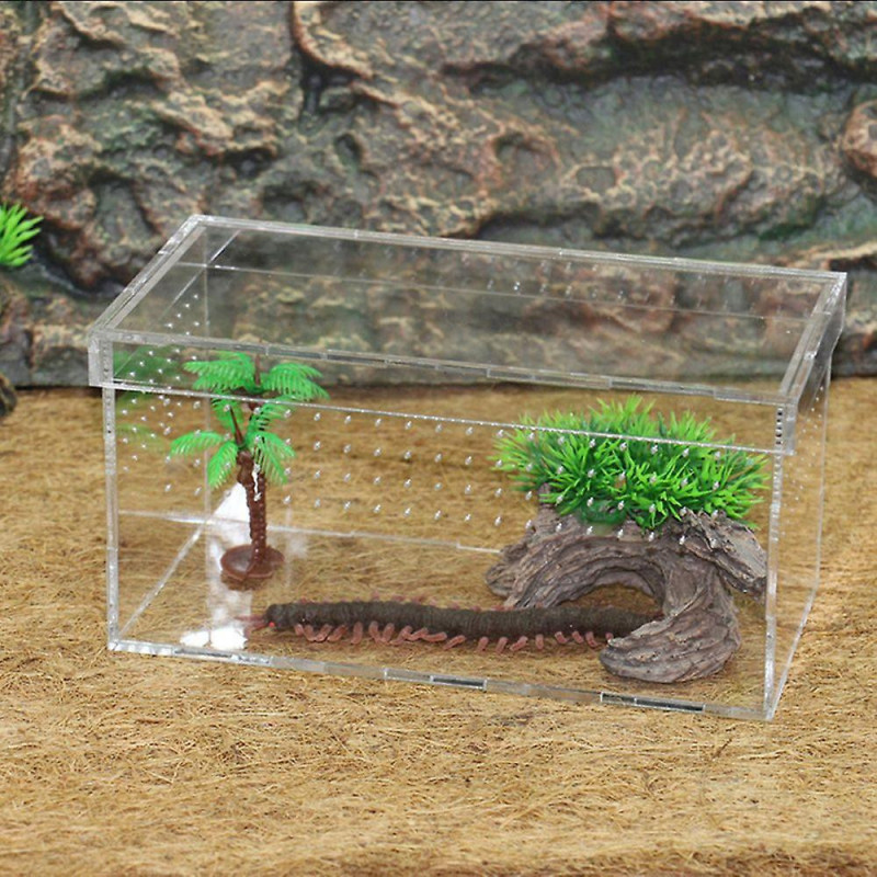 Terrarium de tortues pour reptiles tortues