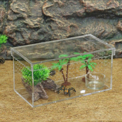 Terrarium de tortues pour reptiles tortues