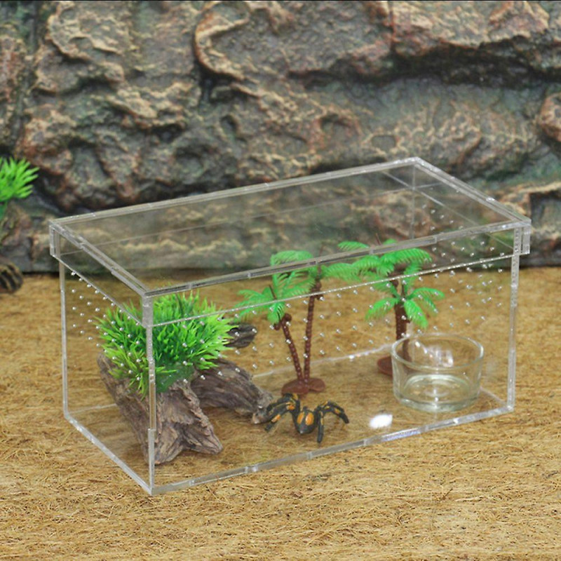 Terrarium de tortues pour reptiles tortues