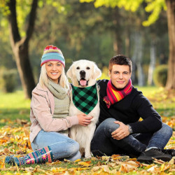 2Pcs Pet Saliva Towel Dog Triple-cornered Scarf Double-Layer Pure Cotton Pet Scarf