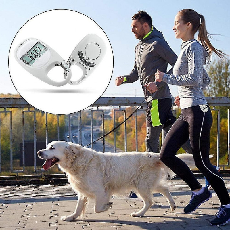 3d Walking Podometer Clip On, simple Step Counter Track Steps, blanc