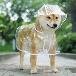 Imperméable pour chiens et chats avec capuche, réglable, pvc, transparent, waterp