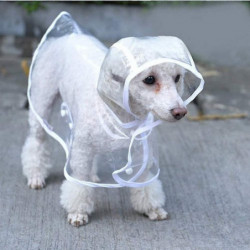 Imperméable pour chiens et chats avec capuche, réglable, pvc, transparent, waterp