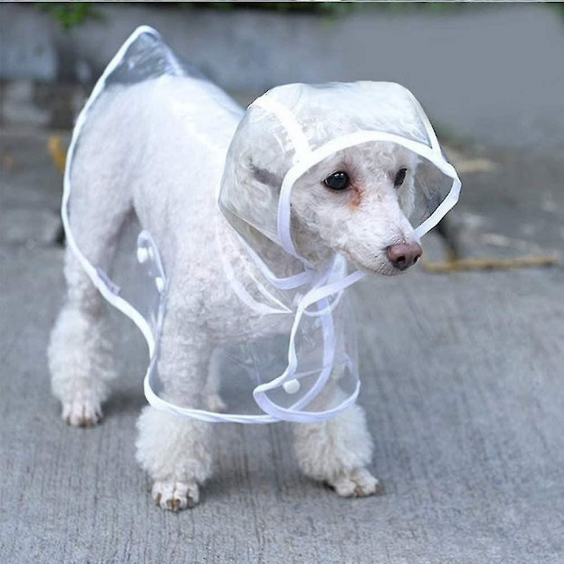 Imperméable pour chiens et chats avec capuche, réglable, pvc, transparent, waterp
