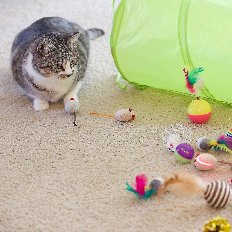 21 Pcs Cat Kitten Toys Set, Tunnels de chat pliables pour chats d’intérieur, int