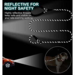 Laisse de chien en laisse réfléchissante pour petit chiot moyen et grand chien t