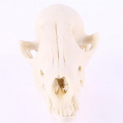 10x Aquarium Terrarium Fish Tank Skulls Replica Bone Home Room Ornament